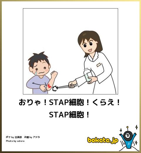 おりゃ!STAP細胞!くらえ!STAP細胞!