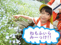 BlogPaint