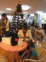 IMG_7333 (1)