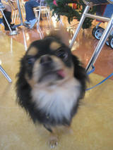 IMG_2521 (1)