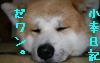 小幸日記へ