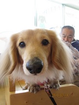１