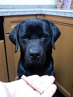 20120210