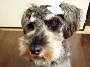 ミリュ