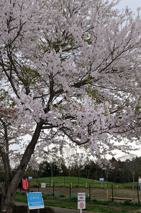 D300_25433 XGA