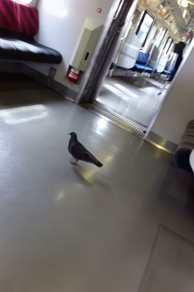http://livedoor.blogimg.jp/waosoku/imgs/3/c/3c6075af.jpg