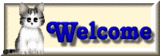 385025a0.gif