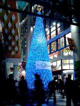 041211_2058~0001.JPG