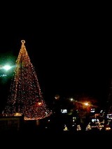 041224_2259~0002.JPG