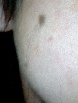 050301_2045~0001.JPG