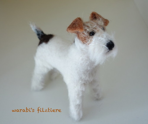 wirefoxterrier
