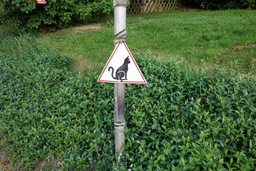 katzeerboten