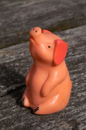 schwein