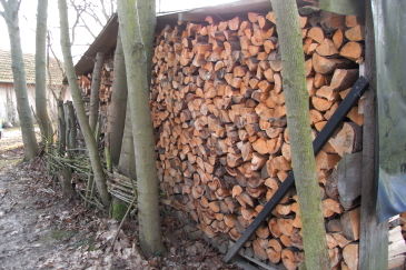 brennholz