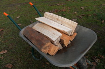 holz