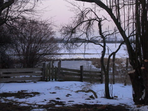 winter03