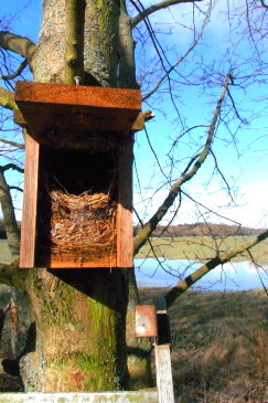 vogelkasten