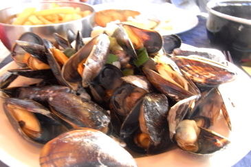 muscheln