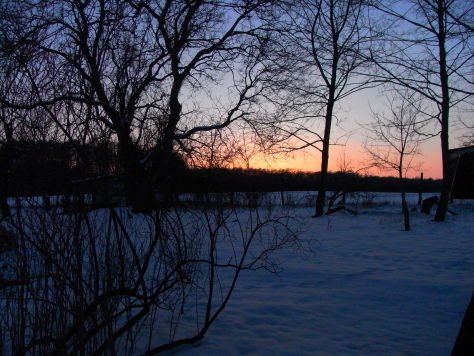 winter01