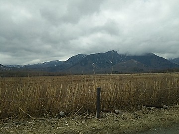 08ade6bd.jpg