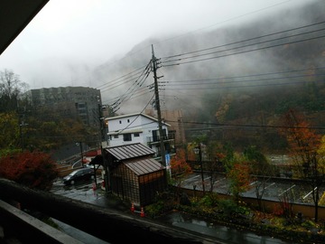 16609135.jpg
