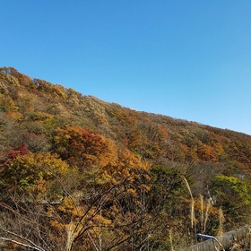1c95f844.jpg