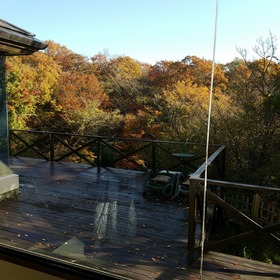 298c77f8.jpg