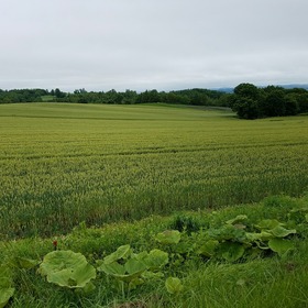 349a7bf6.jpg
