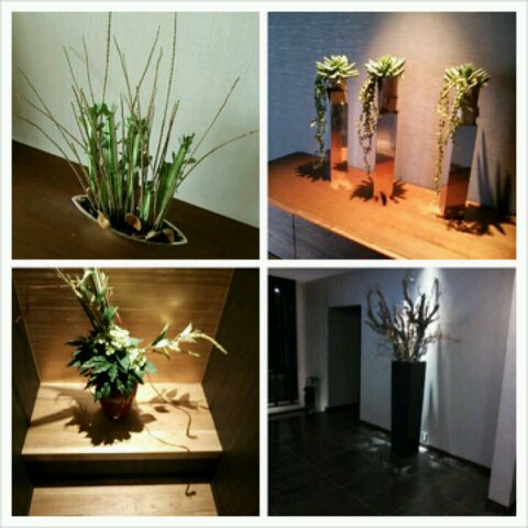 PhotoGrid_1378593083401