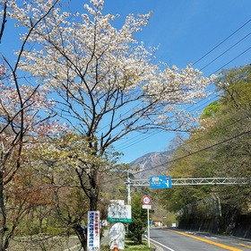 3c98751a.jpg