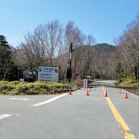 3f22f928.jpg