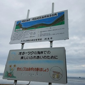 4352fd66.jpg