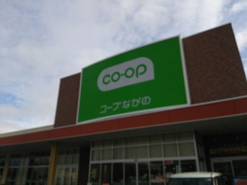 445506b1.jpg