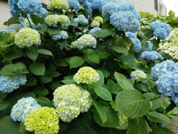 5780b98a.jpg