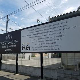 5cc8e492.jpg