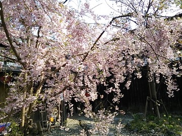 6a3c89e3.jpg