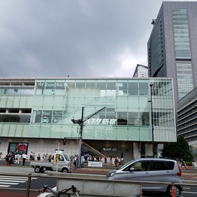 7bb76772.jpg