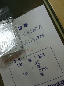 80c75b08.jpg
