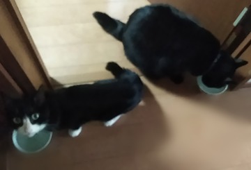 Point Blur_20180901_131044