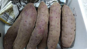84d858d7.jpg