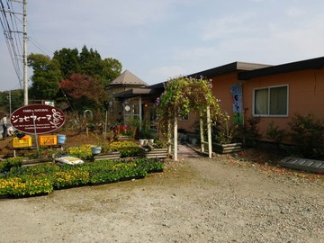 8ebdc753.jpg