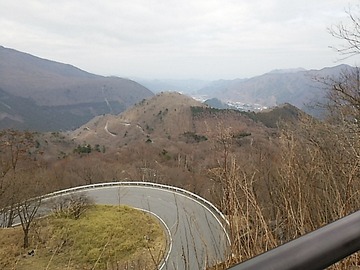 91805f08.jpg
