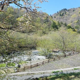 a5544e08.jpg