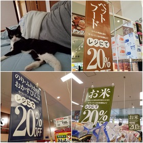 a6d9804d.jpg