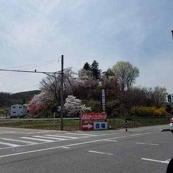 aa868f51.jpg