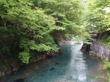b3592f00.jpg