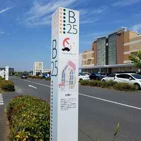 bd7f6903.jpg
