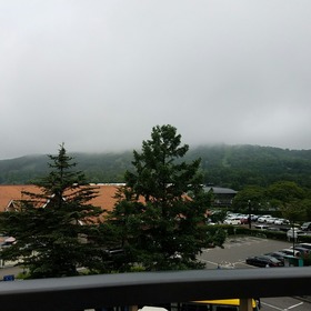 d9170388.jpg