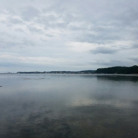 e9151484.jpg