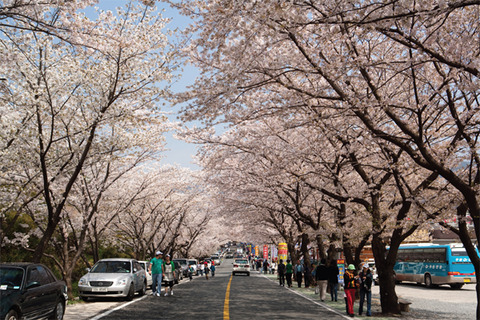 20130404053921_182_1